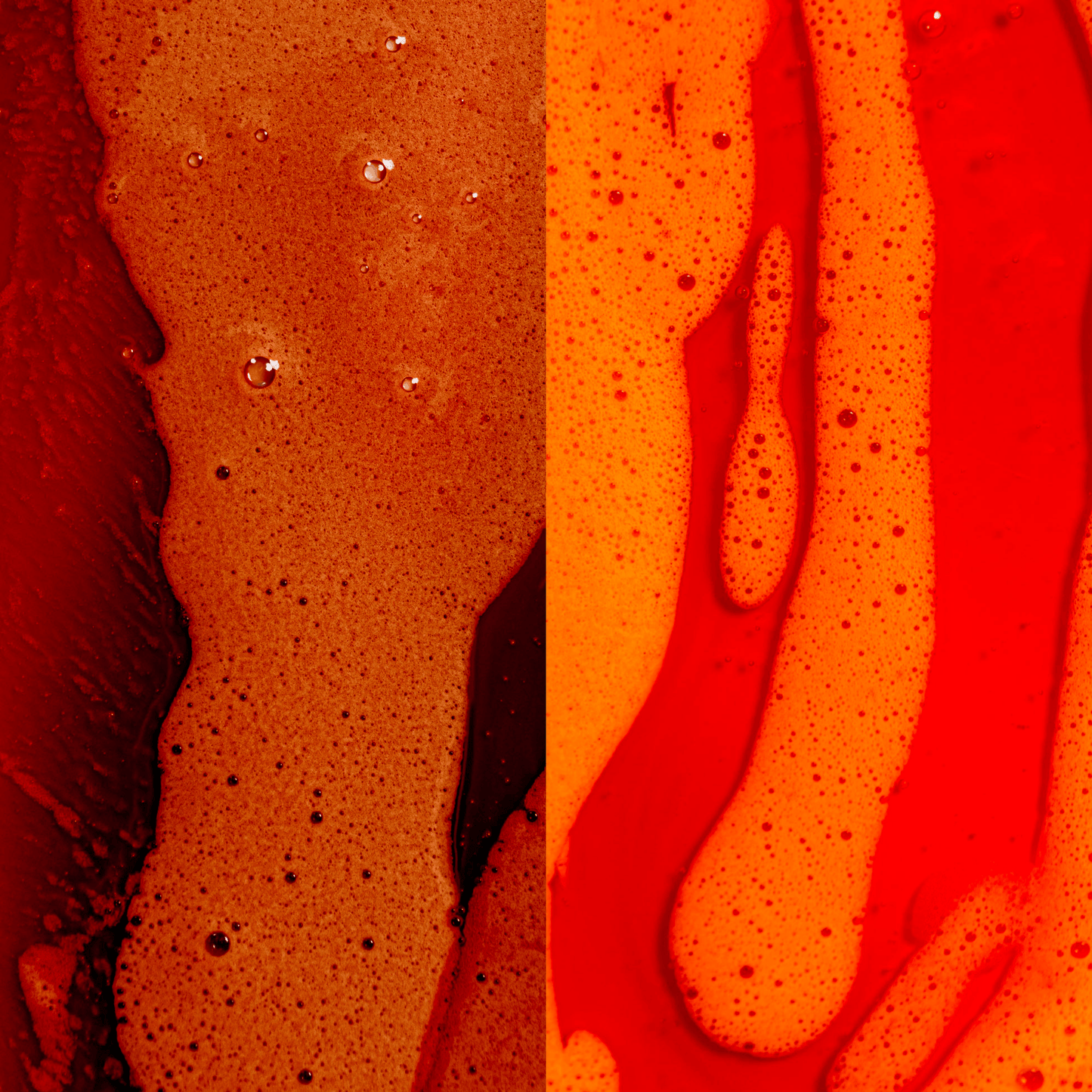 Finally Glossy® + Finally Vibrant® Shampoo Duo (PRE-ORDER) Finally Glossy® + Finally Vibrant® Shampoo Duo (PRE-ORDER)